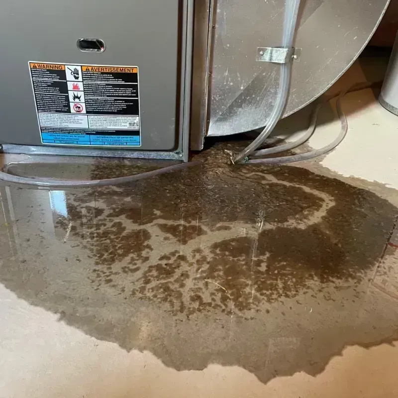 Appliance Leak Cleanup in Eminence, MO